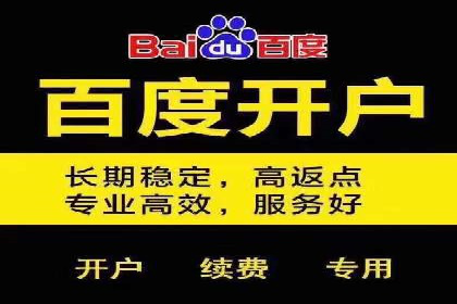 如何在sem竞价托管中取得卓越效果——案例解读